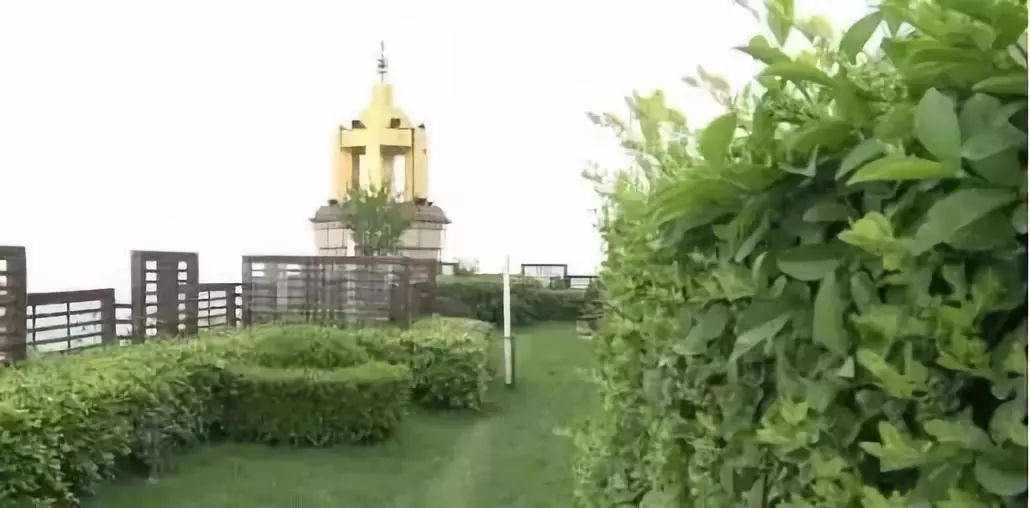 张庭夫妇一夜倾家荡产,张庭夫妇上海买房