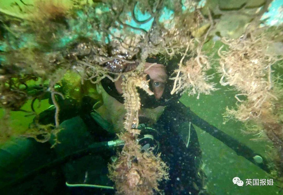 55岁美国教授海底生活95天,美国教授水下挑战