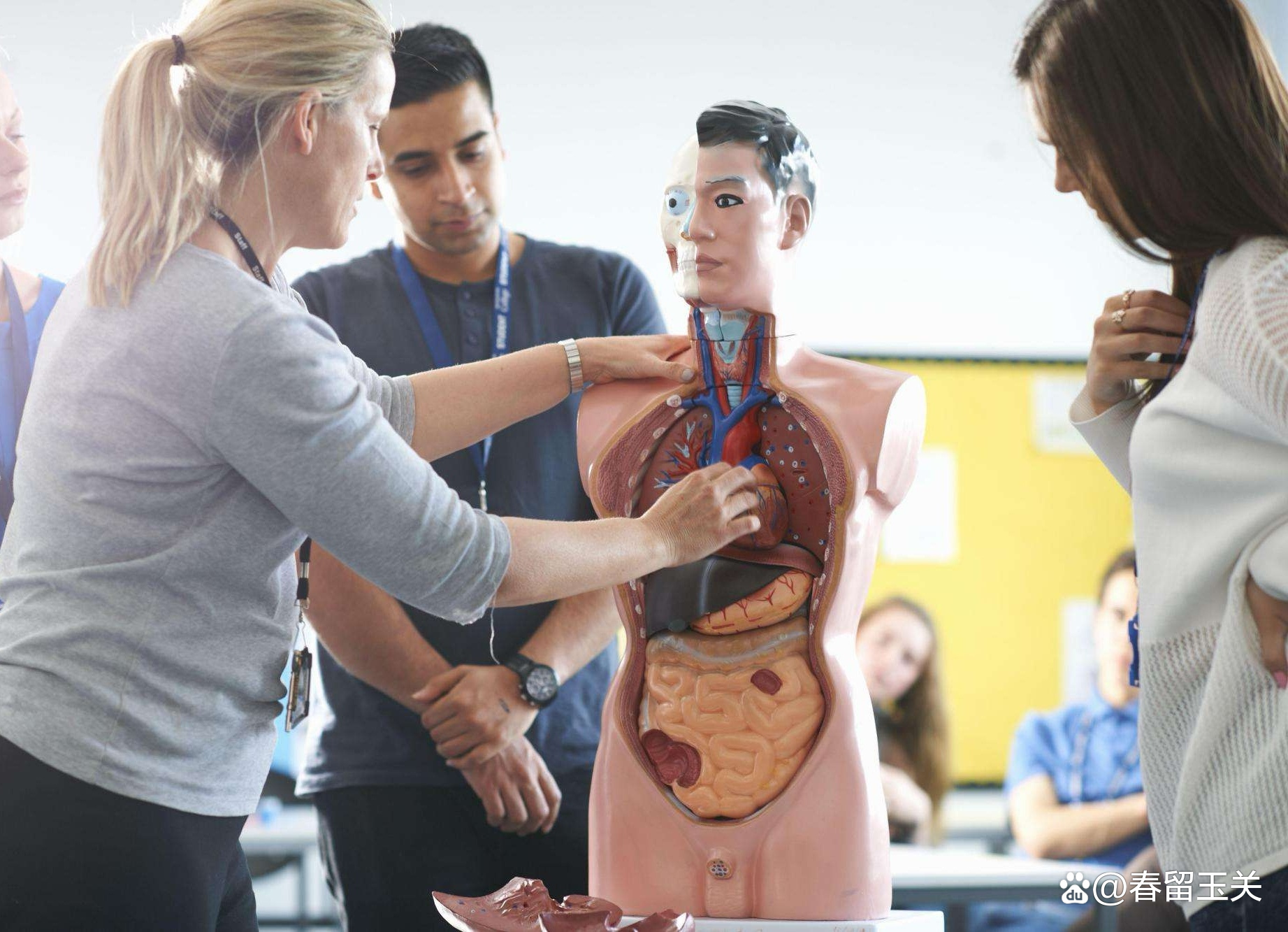 女老师现场“解剖*体器人官**”，学生看得不眨眼，家长：不堪入目