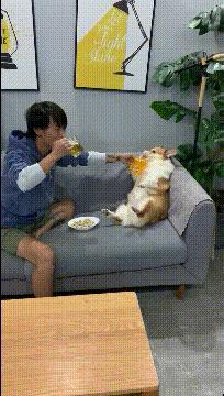 女孩子看起来外表美丽，其实裤袜已经掉到大腿根了！哈哈哈