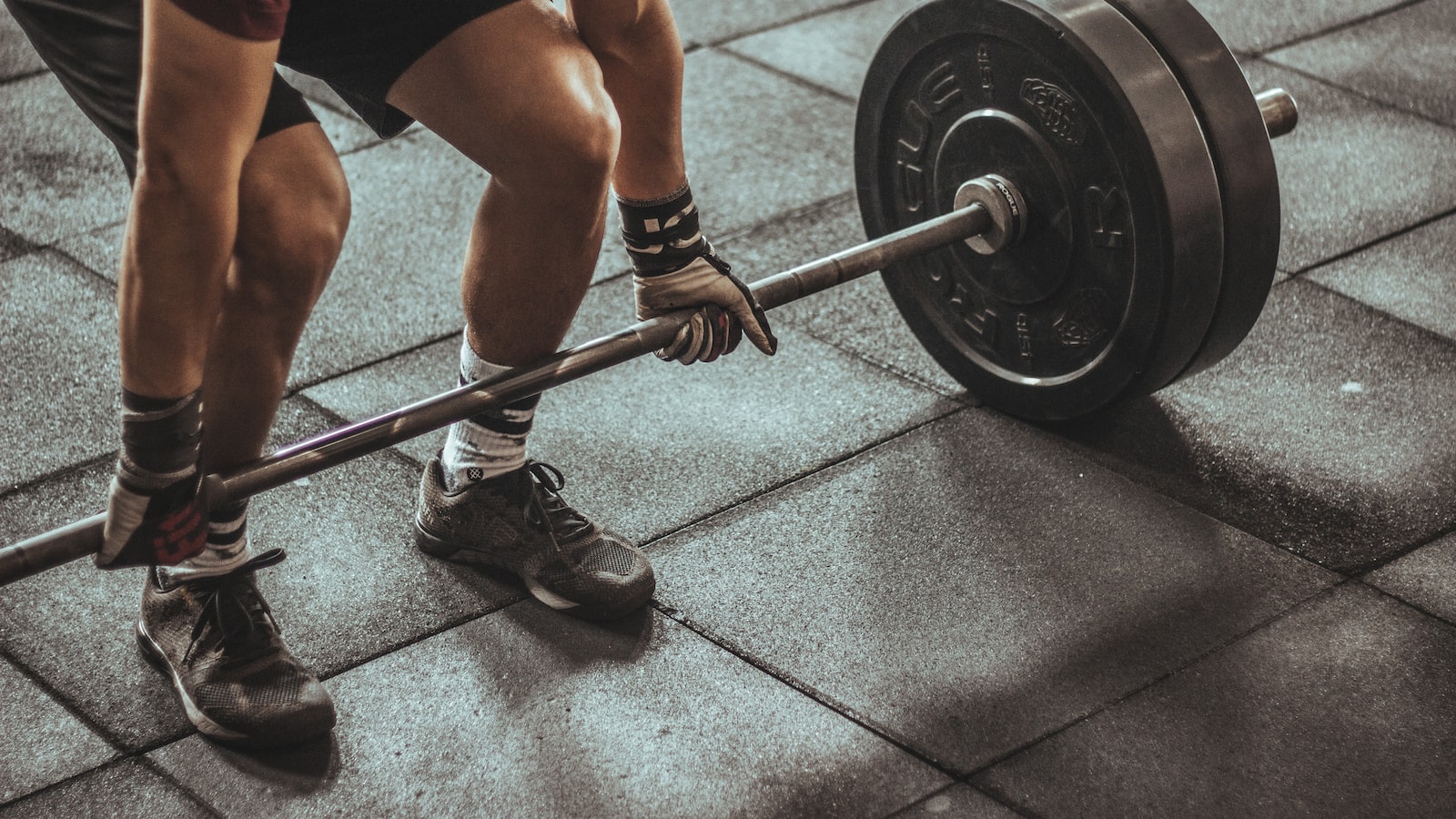 分化训练:二分化训练