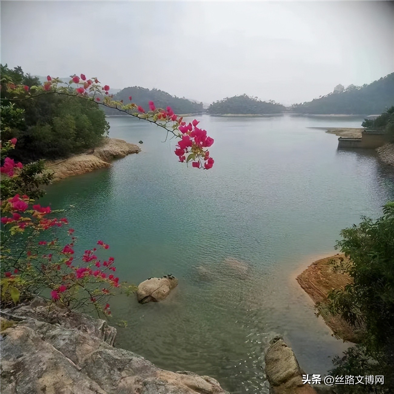 黄河名家‖诗咏魅力珠海