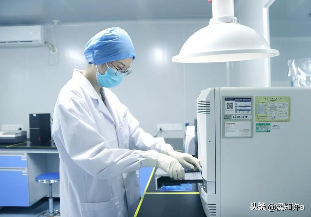 日本认错祖宗？DNA检测让日本人无法接受，自己原来不是徐福后代