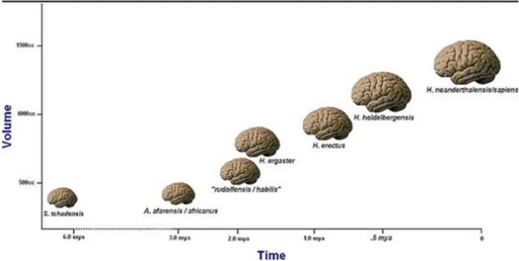 人类文明进化方向,人类进化的终极方向