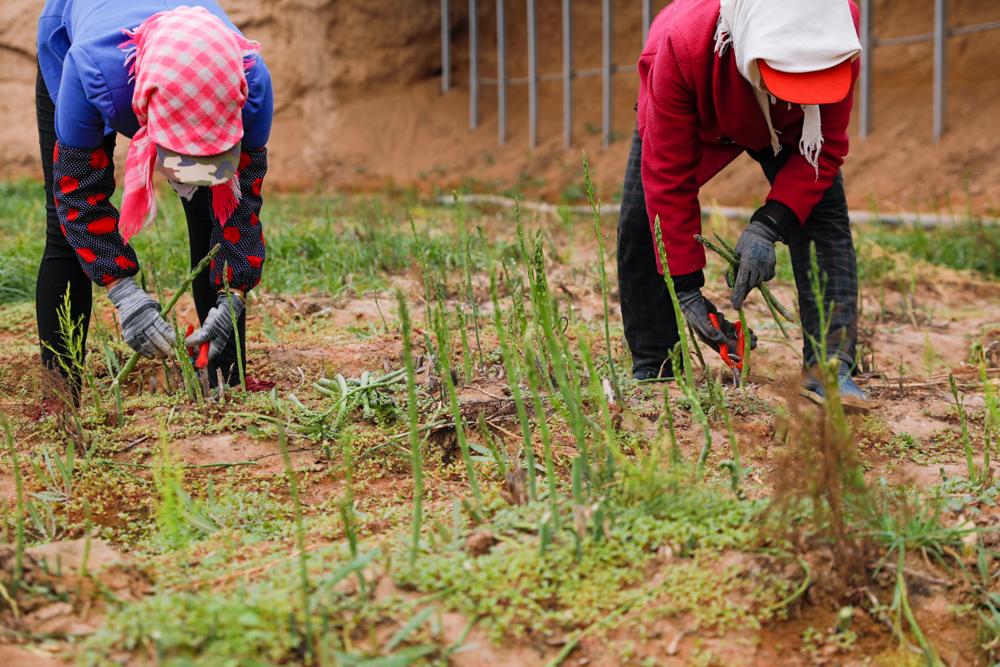 奋进新征程筑梦新时代微视频,奋进新征程筑梦新未来演讲
