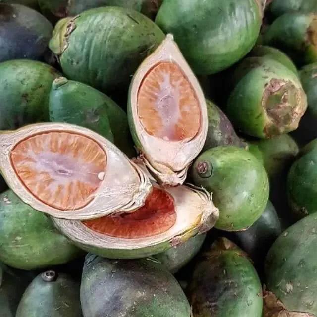 珍爱生命远离槟榔宣传语,珍爱生命抵制槟榔