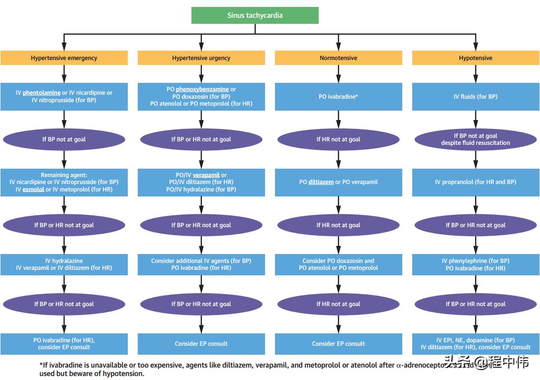 嗜铬细胞瘤出现心慌会长多大,嗜铬细胞瘤心动过速的原因