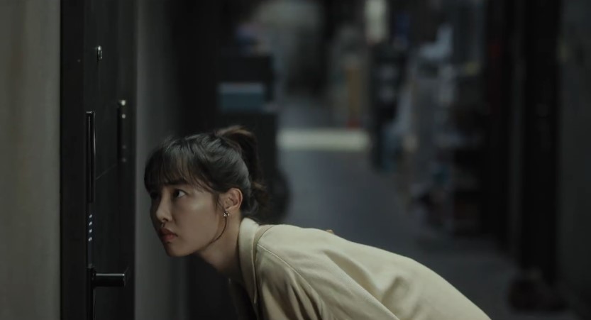 家里养猫用什么监控,养猫家庭用什么监控宠物