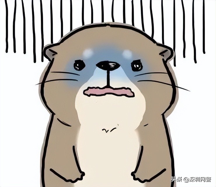 净网2019诈骗套路,净网2019诈骗图解