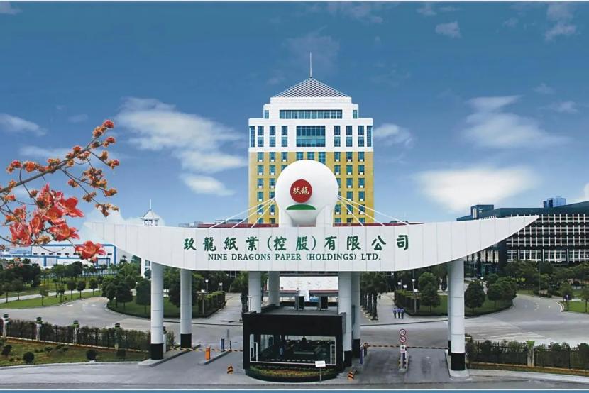 废品回收大王张茵,张茵收废纸