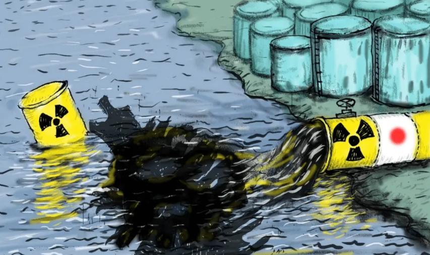 日本对福岛核事故的辩解,福岛核事故日本应对