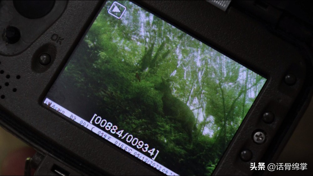 六五环境日关爱自然图片,六五环境日是什么