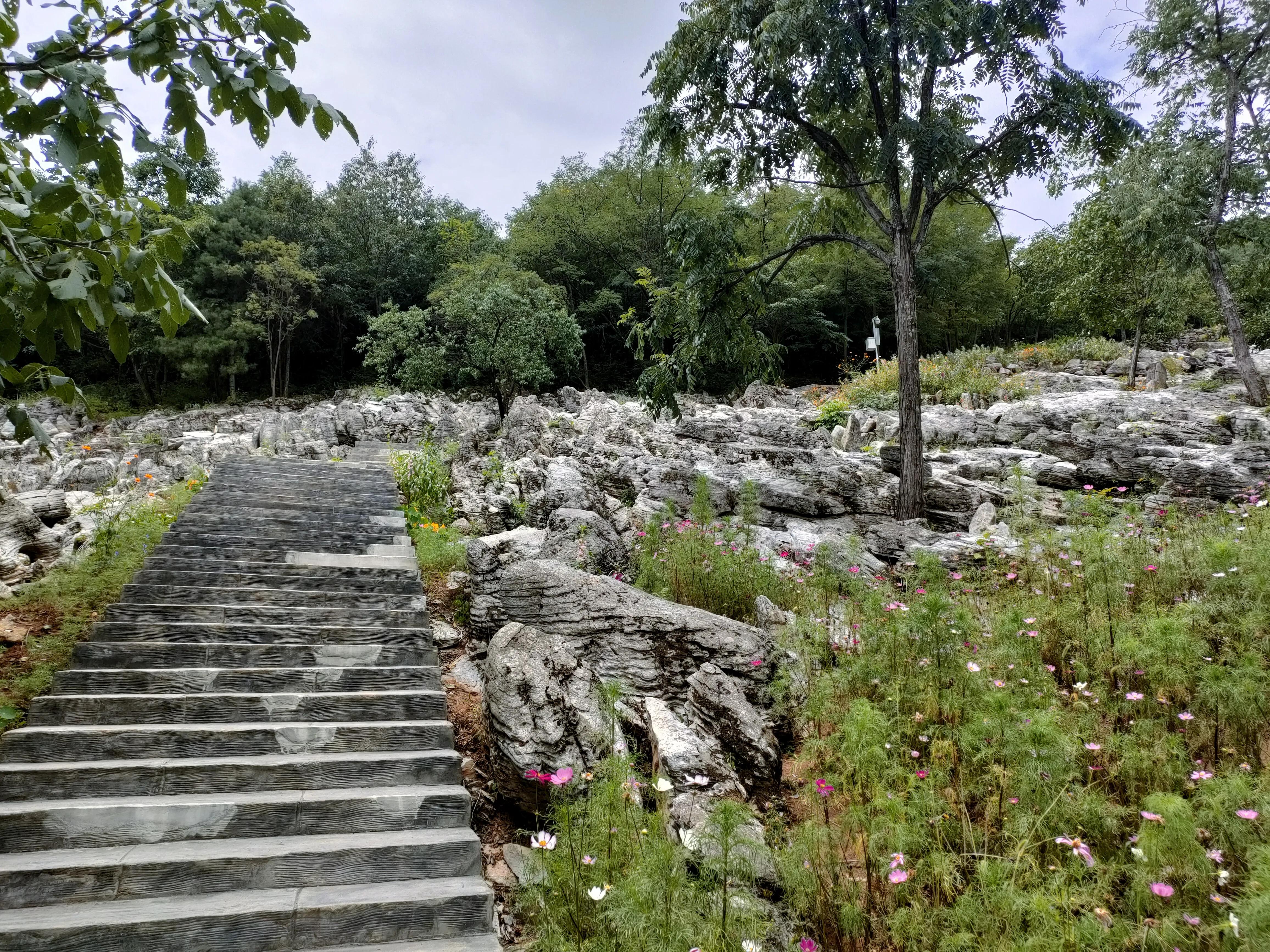 秦岭江山景区怎么样,秦岭江山景区最新通知