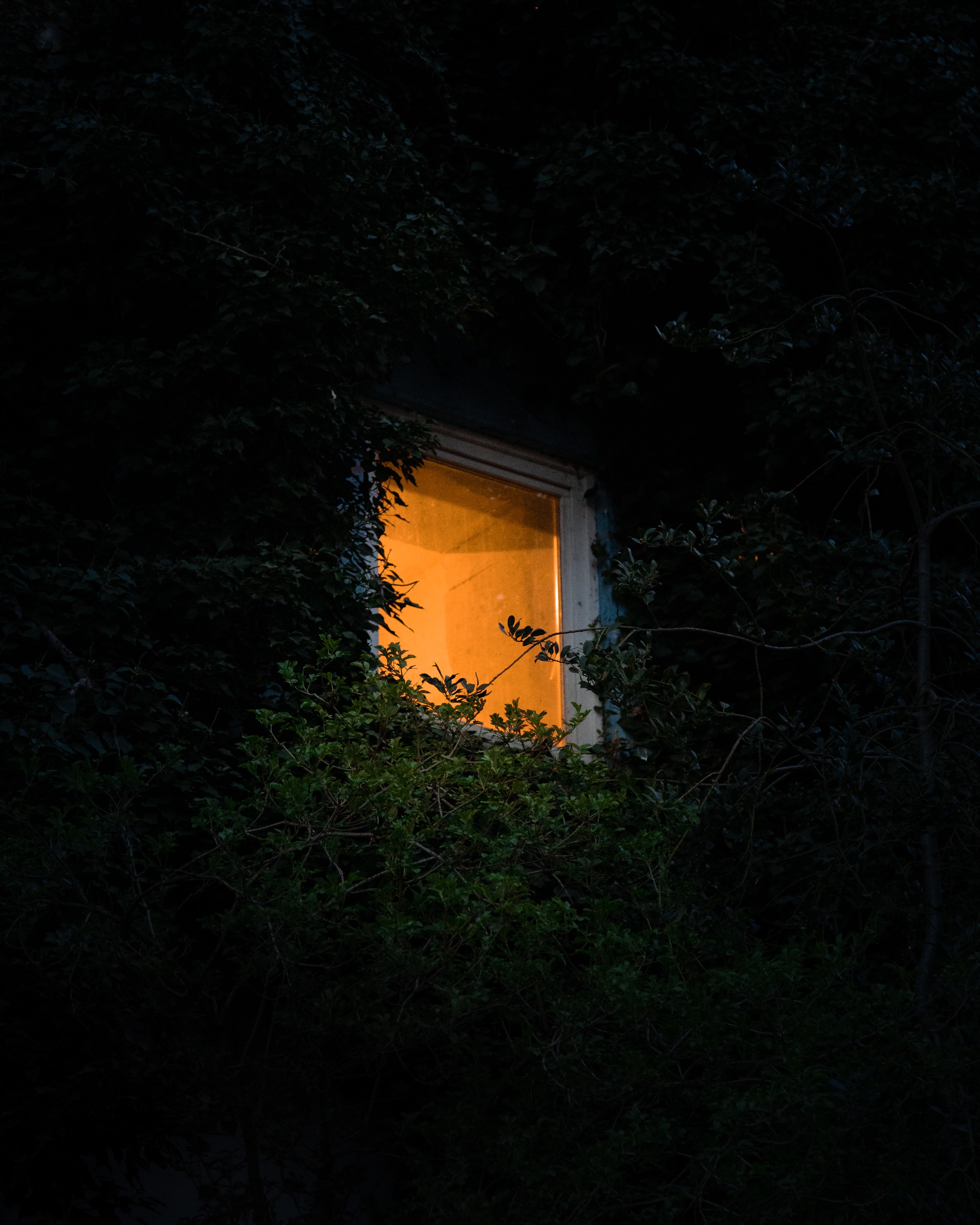 （012）在上海的十年—没事找事的妻子和无一是处的丈夫的对话