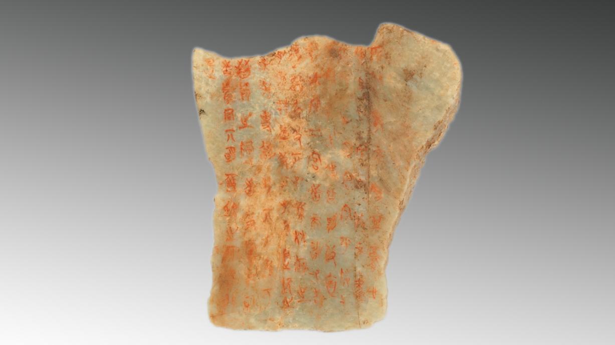 珠三角六一亲子游最佳地方,六一带娃出游攻略