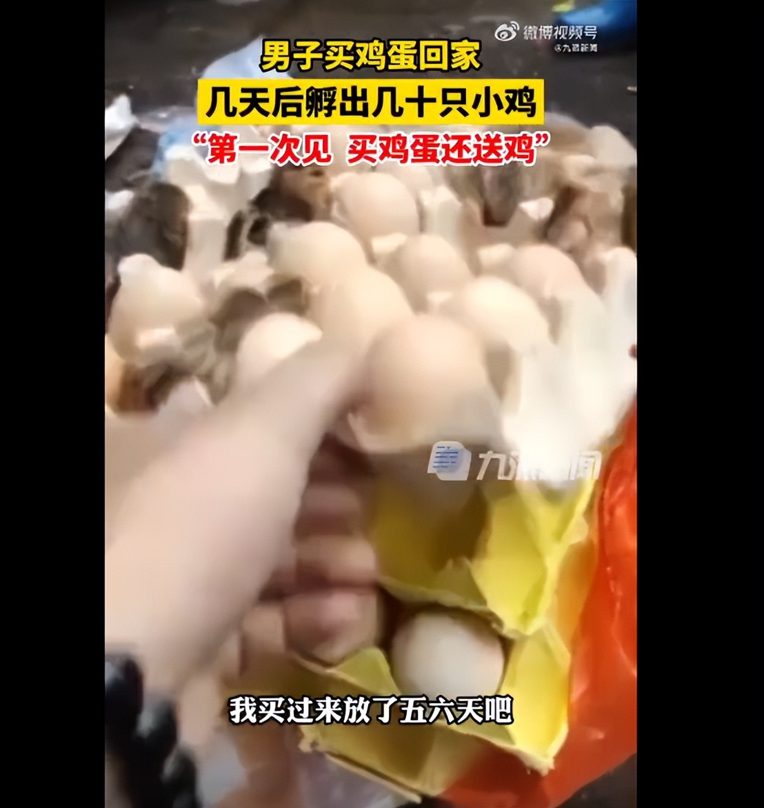 一核酸公司实控人今年注册16家核酸机构/北京通报临时管控原则上不超24小时/郑州新增232个高风险区