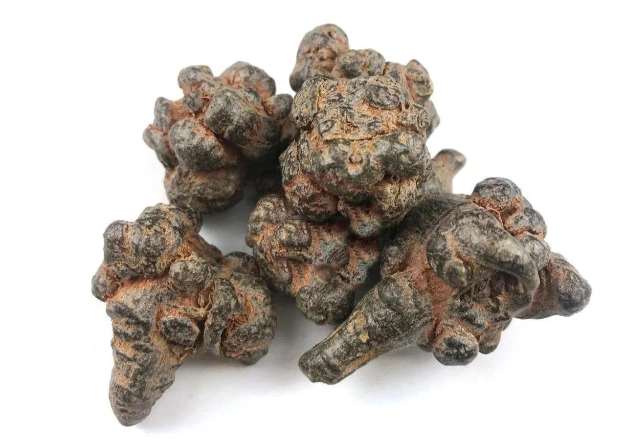 甯歌浼姡浜у搧,甯歌鍔h嵂