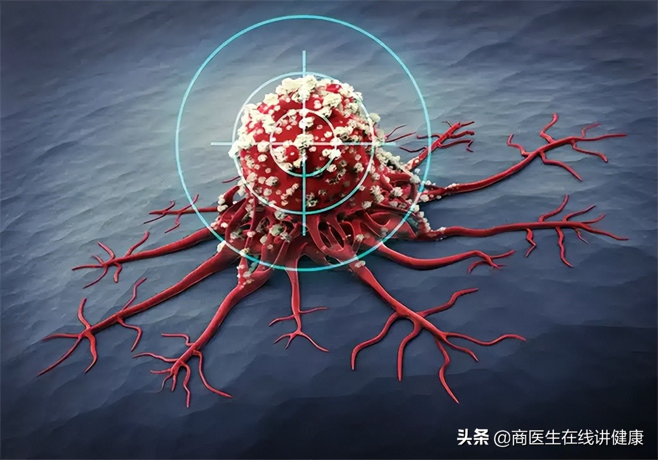 一饿就心慌发抖也没有低血糖,一饿就心慌手抖腿没劲是糖尿病吗
