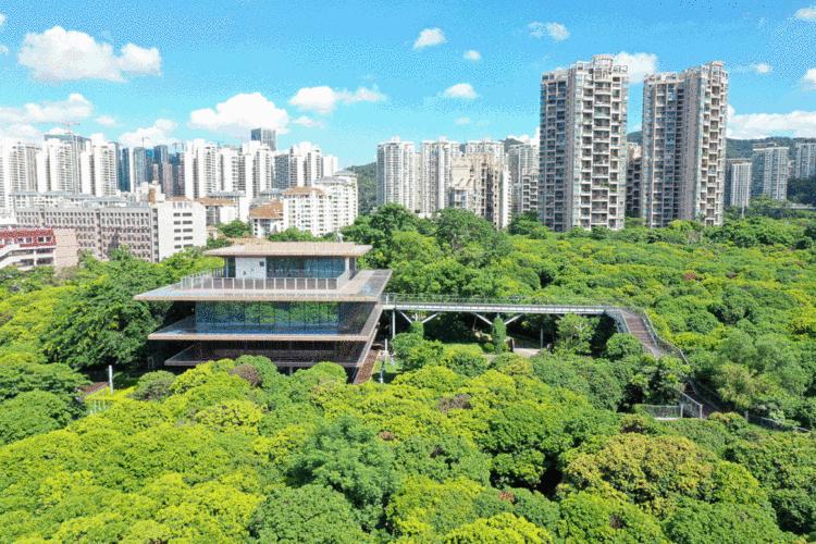 深圳公园的故事｜先锋实践，甜蜜家园——香蜜公园