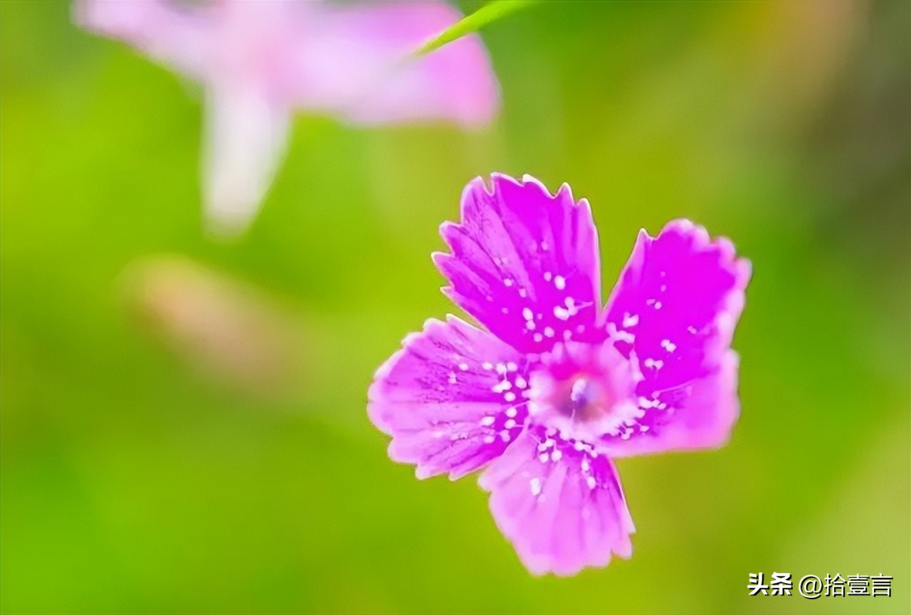 越是心穷的人越有这几个习惯,如何观察一个人是真穷还是假穷