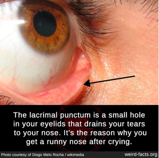 100个有趣的历史小故事,世界历史上的趣味小故事