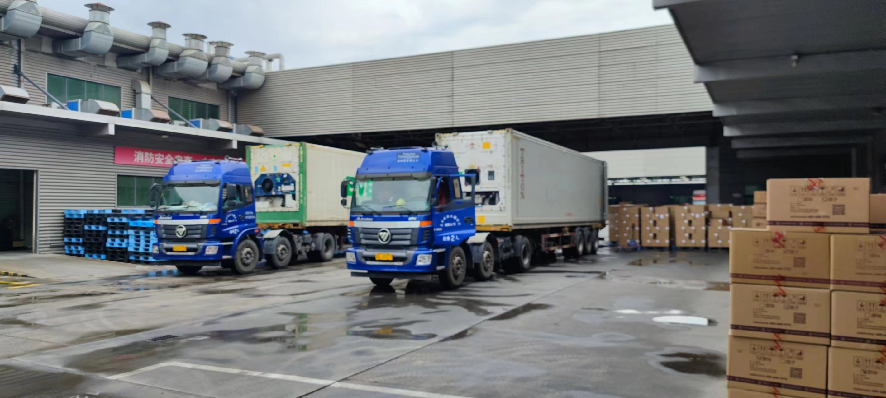 苏州稻香村月饼出口稳步增长多地齐发与世界分享中国美味