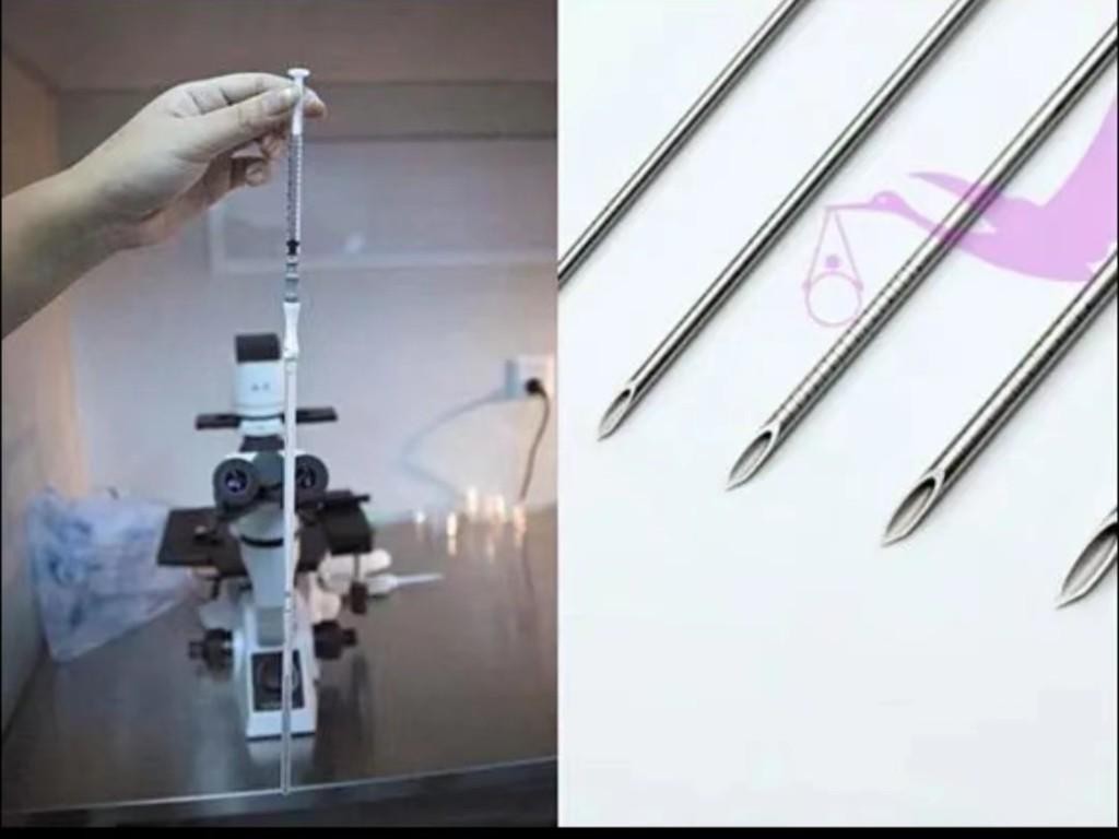 女生每个月都有卵子排出,不用浪费不如把它卖了。这是真的吗?