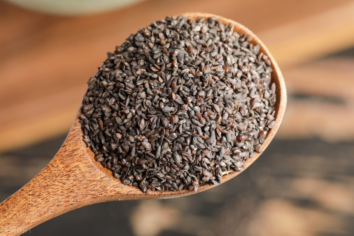 宫颈炎久治不愈？送你一方，专克宫颈炎！