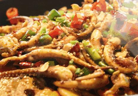 3个心脏的章鱼是什么,地球的外星生物章鱼