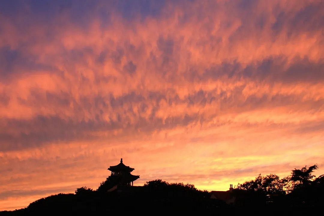 青岛最美摄影作品,青岛摄影师现状