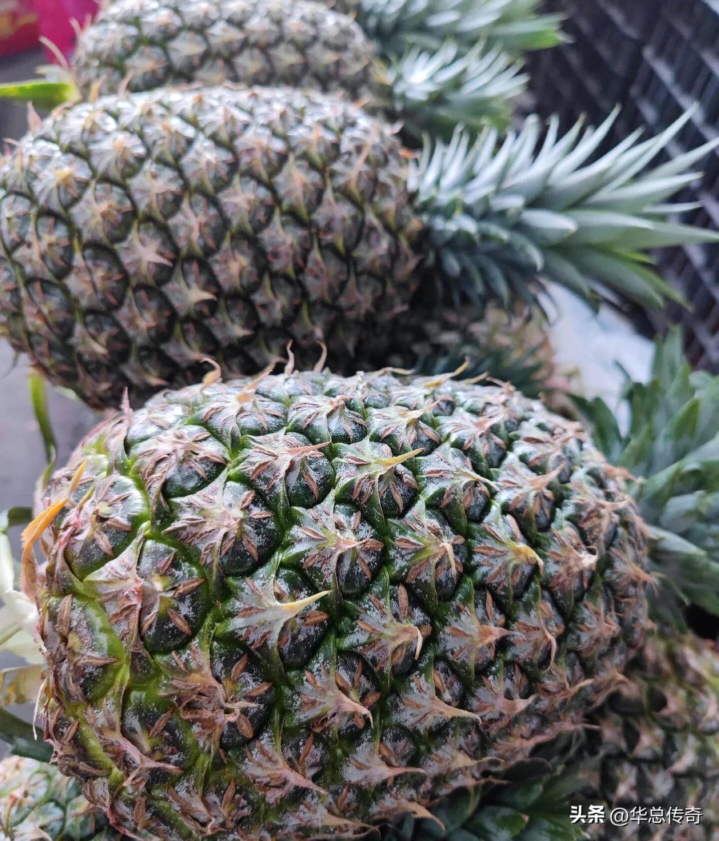 为什么海南的水果比内地贵,海南的蔬菜水果为什么贵