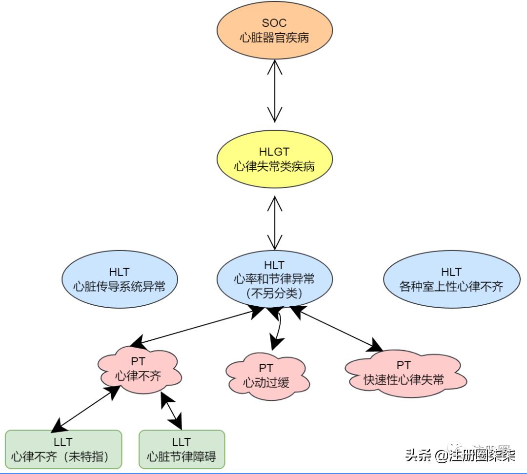 药物警戒中自发呈报系统数据库与MedDRA术语集