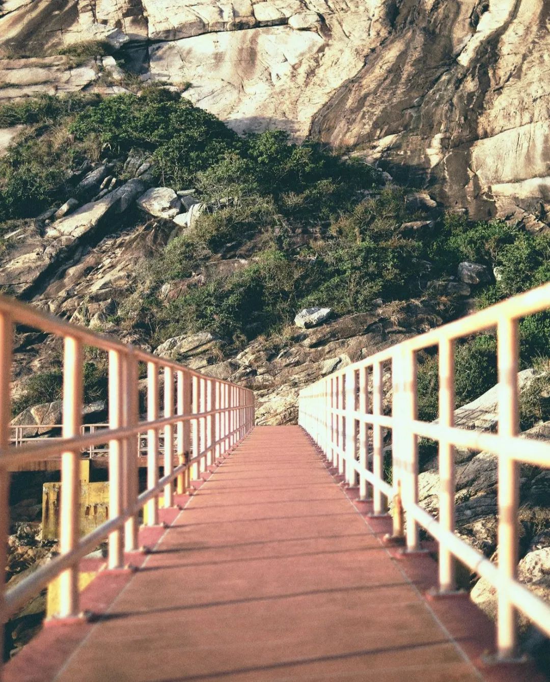 800万本地人给游客票选：香港最强清单