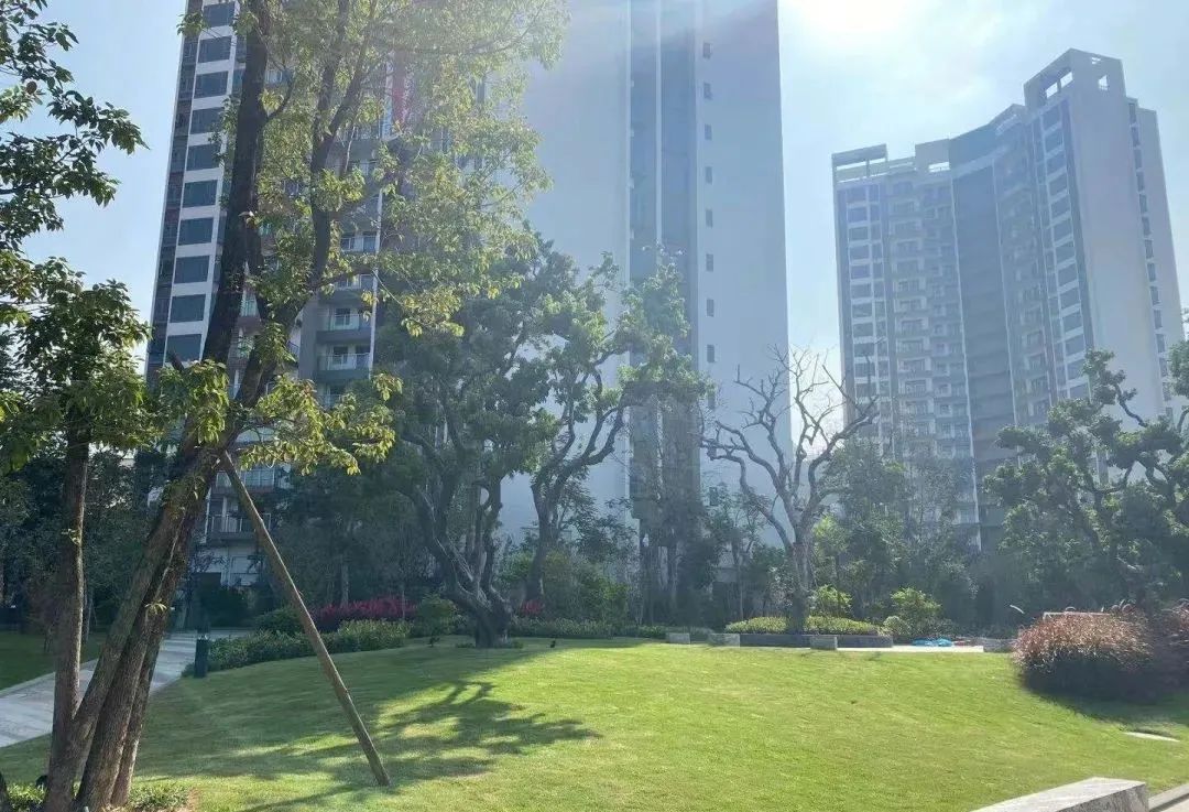 德宝怡高别墅,德宝怡高缺点