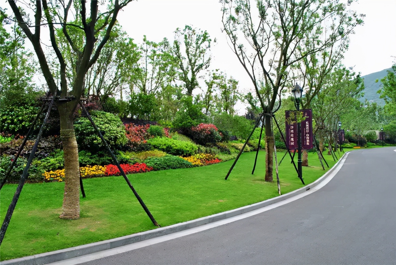 园林景观设计的五大环节,干货园林植物景观设计之空间设计