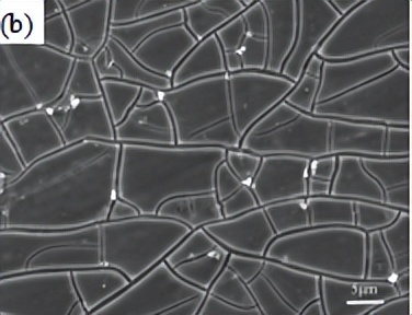 中北大学赵宇宏教授团队:石墨烯纳米片/AZ91D镁基复合材料腐蚀行为研究