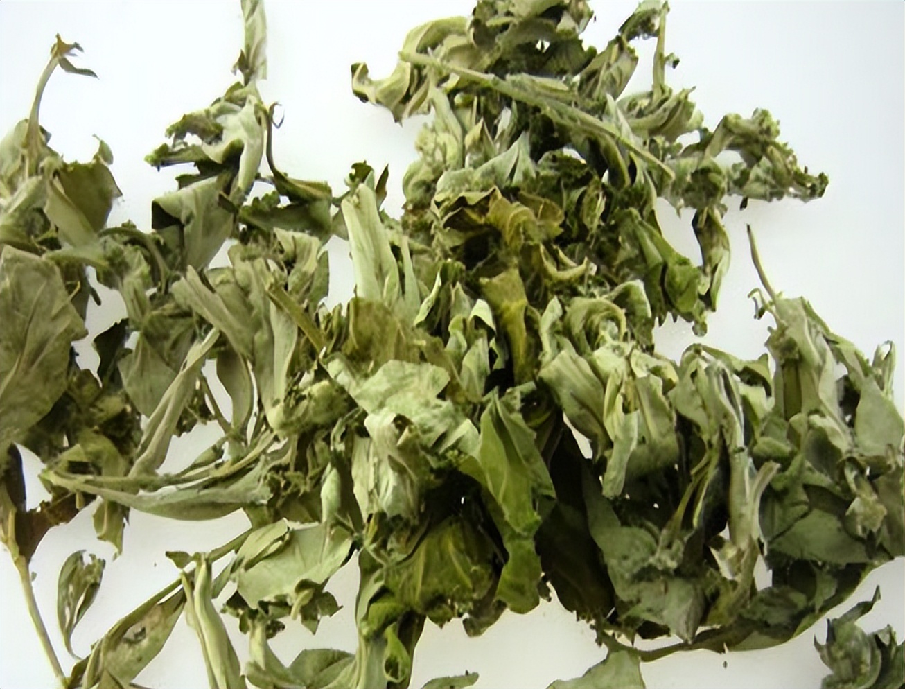 药用艾叶和食用艾叶识别,带你识别艾叶图片