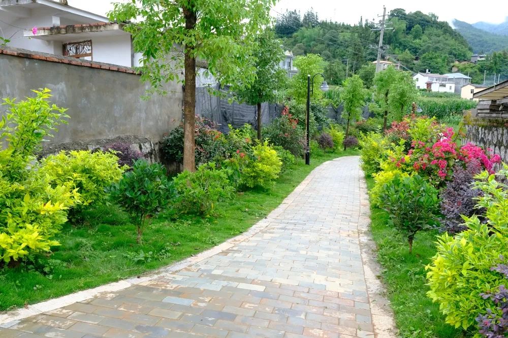 共创乡村振兴发展新格局,全面推进乡村振兴打造五美乡村