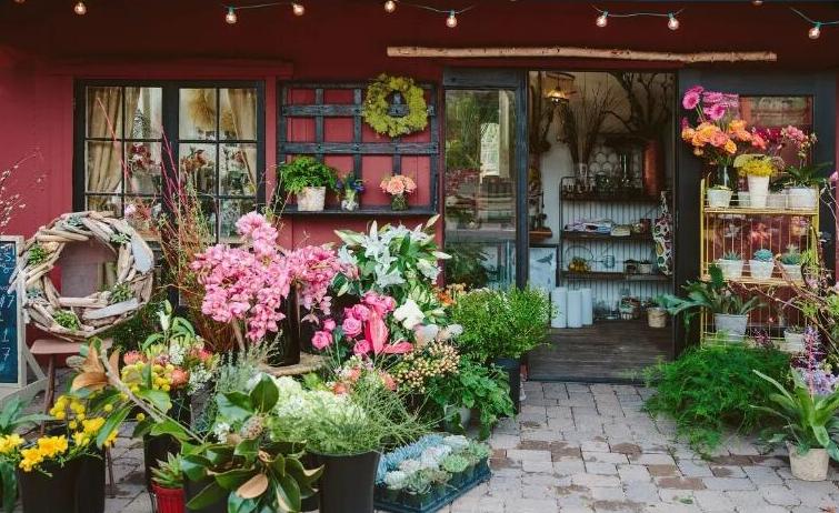 2023年最火爆的加盟店,2023年加盟店有哪些好项目