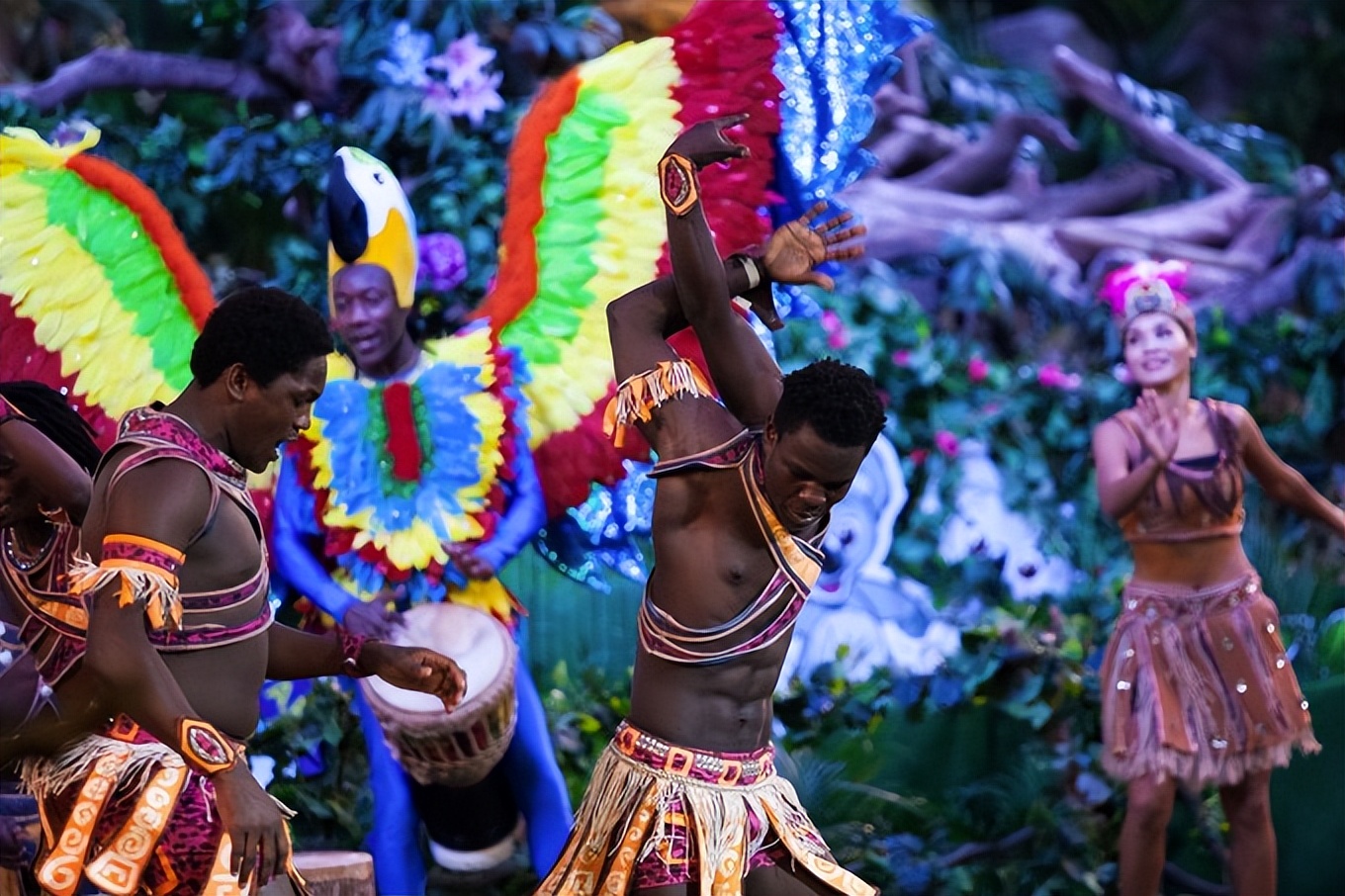 广州长隆最全游玩攻略飞鸟乐园,广州长隆哪两个主题乐园适合老人