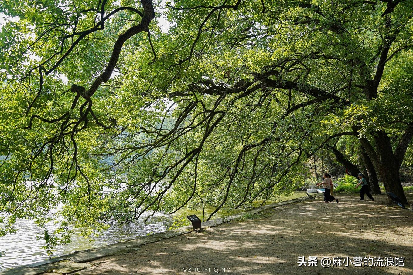 浙江绍兴有座千年大佛寺，有江南第一大石佛，许多影视剧都来取景