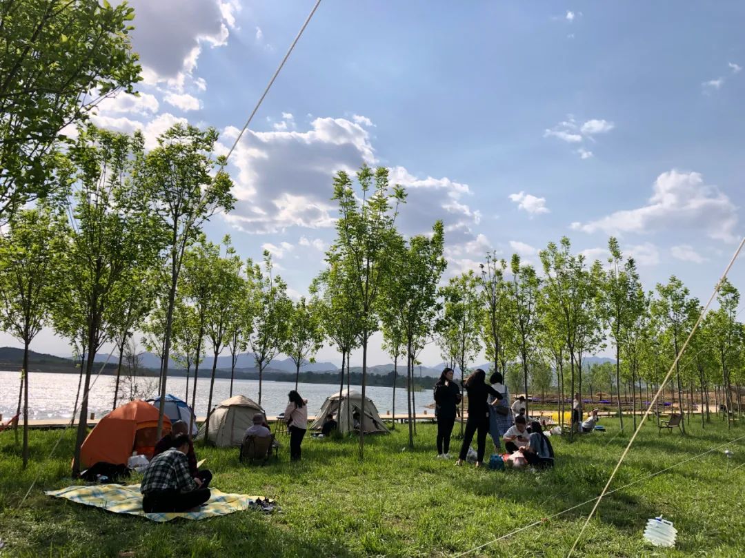 休闲农业与乡村旅游项目分析,休闲农业与乡村旅游什么时候开始