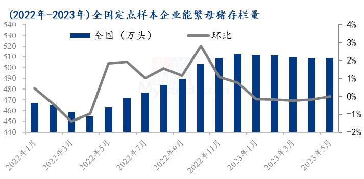 Mysteel解读：从猪企数据看未来市场供应压力
