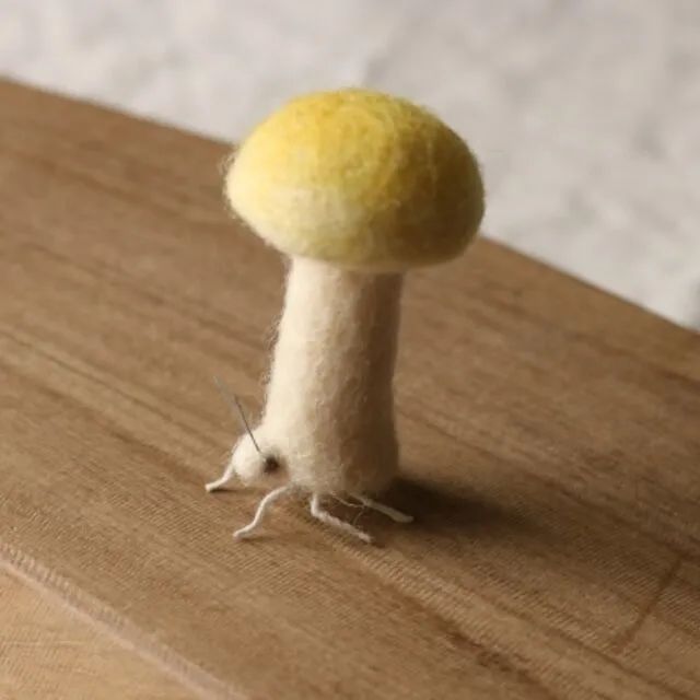 奇形怪状的羊毛毡,奇形怪状羊毛毡