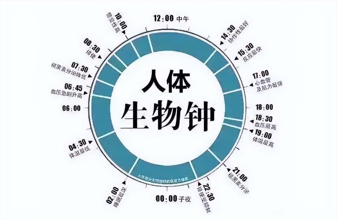 花生是心血管病的克星还是营养品,花生是心血管的祸根还是福音