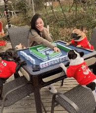 健身房有多乱知乎,健身房真的乱吗知乎后续