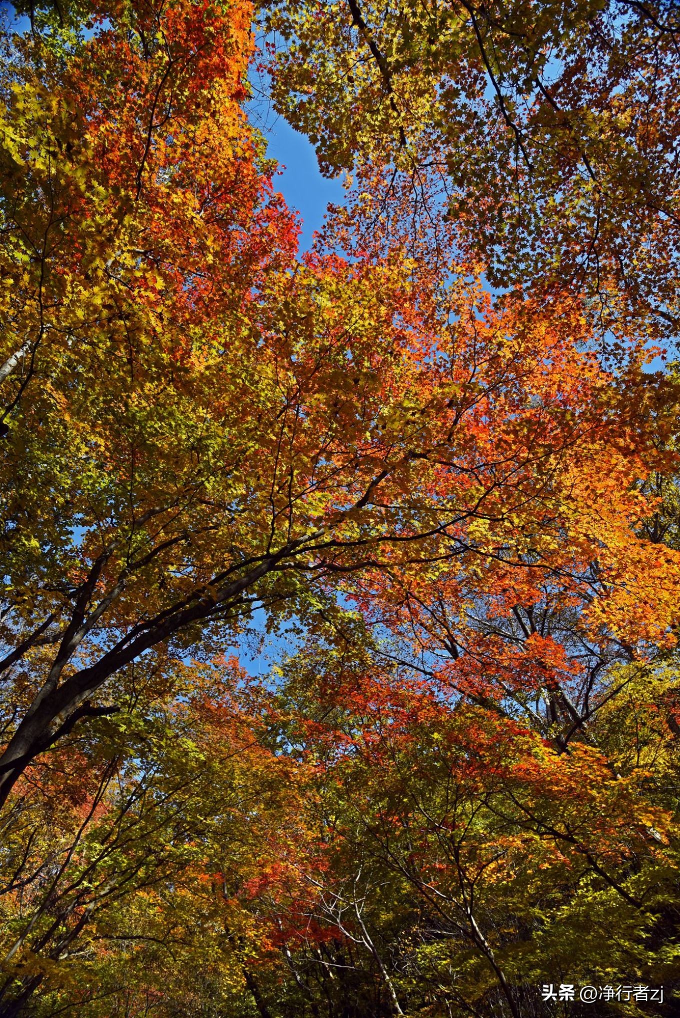 图们江口岸游记,从图们市到牡丹江自驾游