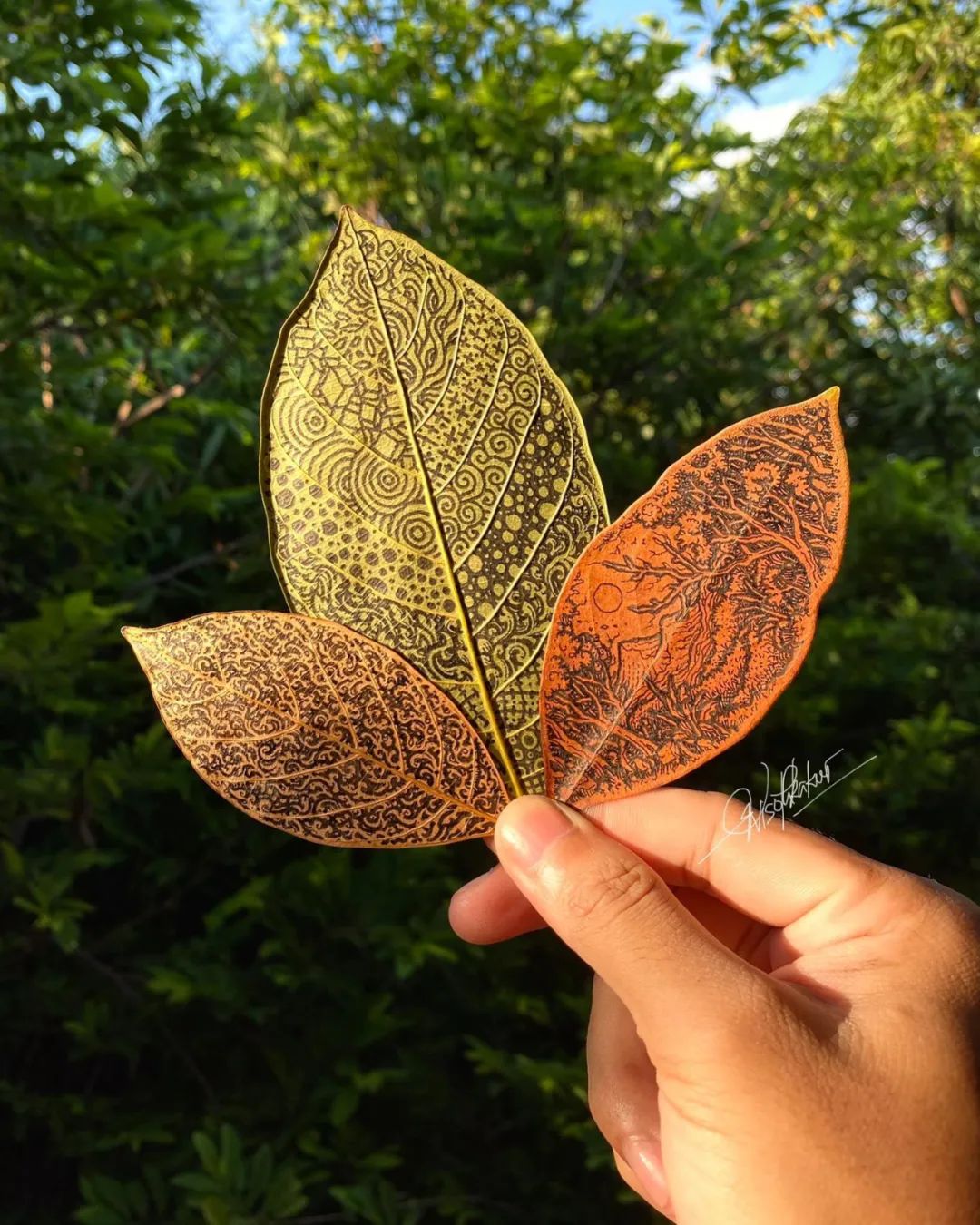 简单治愈强迫症画,让密集恐惧症非常难受的画