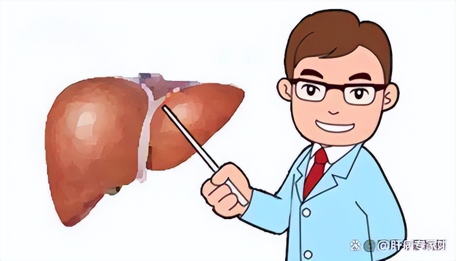 乙肝患者喝中药养肝好吗,乙肝患者用中药怎么护肝养肝