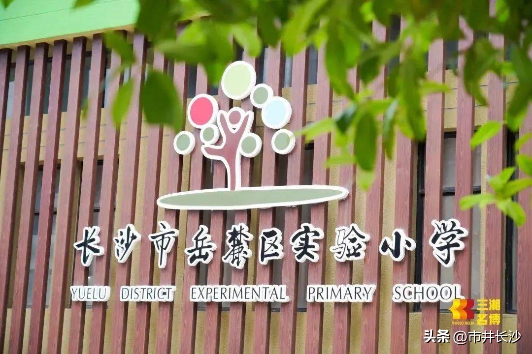 让优秀成为一种习惯朗诵,让优秀成为一种习惯